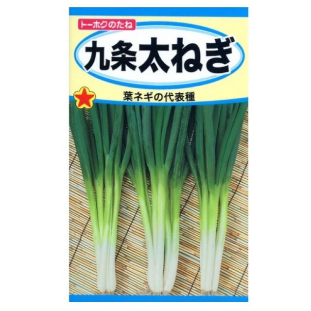 無農薬野菜＊根っこ付き青ねぎの苗＊5本セット＊初心者向け＊プランター＊長ネギ＊ 食品/飲料/酒の食品(野菜)の商品写真