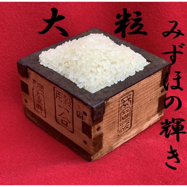 食べ比べ　新米・令和3年産新潟みずほの輝き　コシヒカリ　白米5kg各1個25 食品/飲料/酒の食品(米/穀物)の商品写真