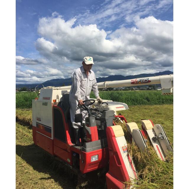 食べ比べ　新米・令和3年産新潟みずほの輝き　コシヒカリ　白米5kg各1個25 食品/飲料/酒の食品(米/穀物)の商品写真