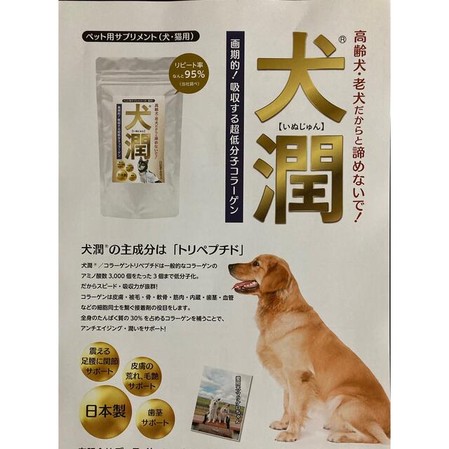 高齢犬サプリメント【犬潤】コラーゲントリペプチド　1個 その他のペット用品(ペットフード)の商品写真