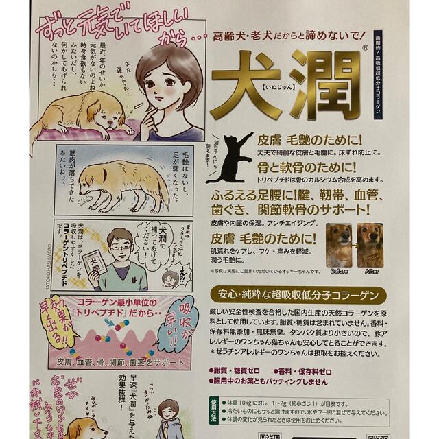 高齢犬サプリメント【犬潤】コラーゲントリペプチド　1個 その他のペット用品(ペットフード)の商品写真