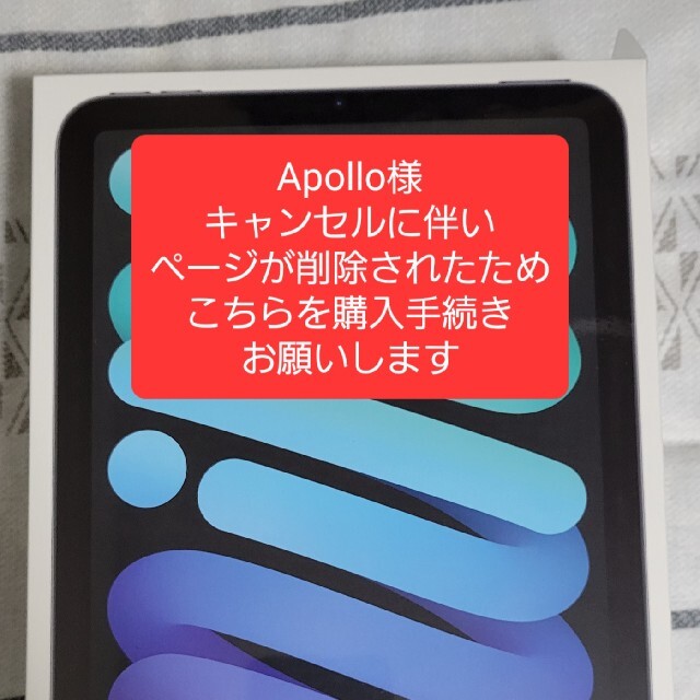 iPad - (Apollo様)ipad mini 6  256GB Cellularセルラー