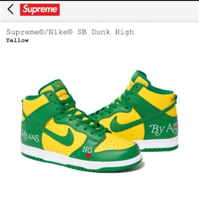 Nike SB Dunk High By Any Means 