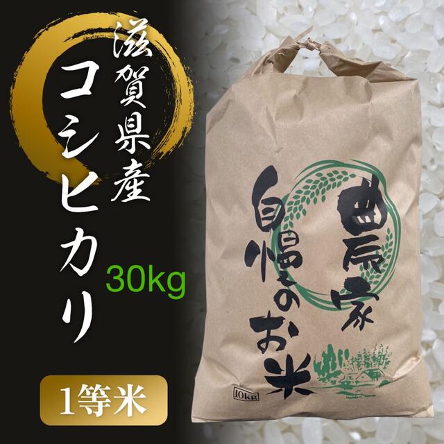 【限定ご奉仕価格】滋賀県産　1等米コシヒカリ　30kg食品