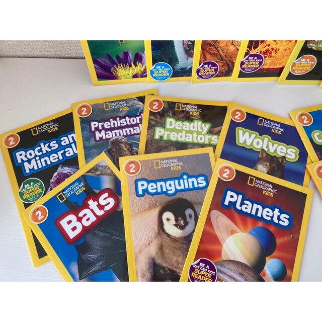 【新品】National Geographic kidsレベル2【25冊】 エンタメ/ホビーの本(絵本/児童書)の商品写真