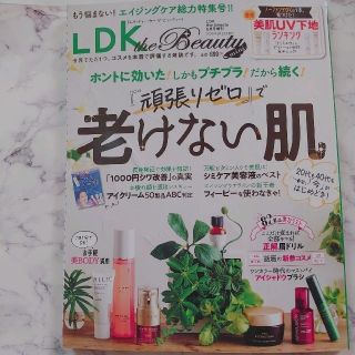 LDK the Beauty mini エルディーケー ザ ビューティーミニ(美容)