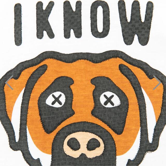 HUMAN MADE(ヒューマンメイド)のI KNOW NIGO KAWS T-SHIRT ヒューマンメイド カウズ メンズのトップス(Tシャツ/カットソー(半袖/袖なし))の商品写真