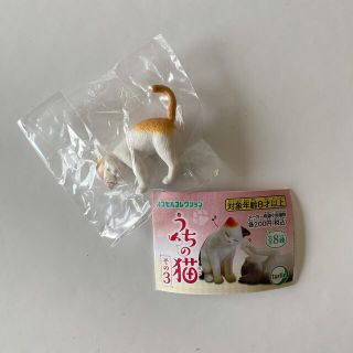 うちの猫その3 チャシロ(単品)ガチャ(その他)