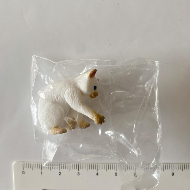 うちの猫その3 シャム(単品)ガチャ エンタメ/ホビーのフィギュア(その他)の商品写真