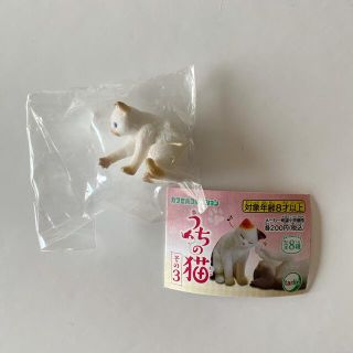 うちの猫その3 シャム(単品)ガチャ(その他)