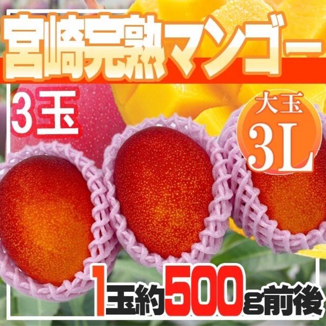 宮崎県産 宮崎完熟マンゴー 3玉 3L 約500g前後※クール便発送 bacongco.com