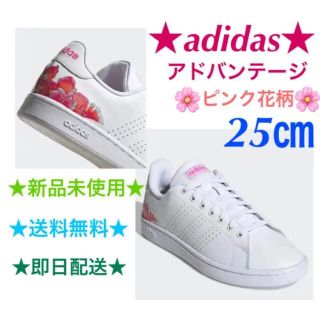 アディダス(adidas)のadidas アディダス アドバンテージ 25㎝　ピンク　花柄(スニーカー)