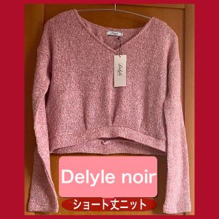 デイライルノアール(Delyle NOIR)の新品♡Delyle noir♡春ニット♡Vネック　　5,900円＋税(ニット/セーター)