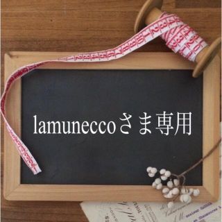 lamuneccoさま専用◎巾着2点　(その他)