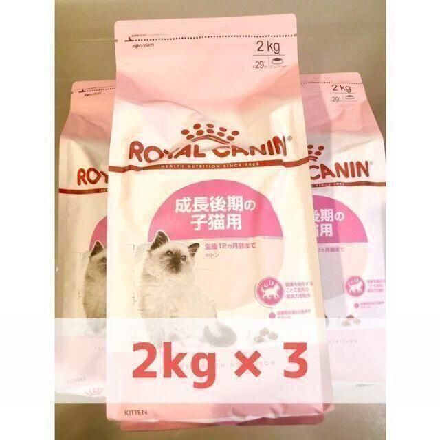 即購入可ロイヤルカナン キトン ROYAL CANIN 2kg×3袋セット 新品未開封