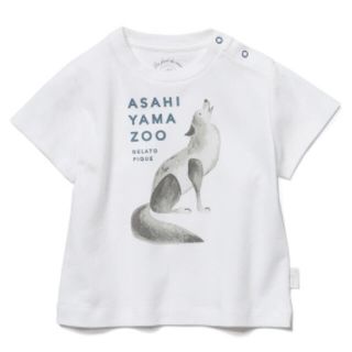 ジェラートピケ(gelato pique)の【新品】ジェラートピケ 旭山動物園 オオカミ baby Tシャツ 80-90(Ｔシャツ)