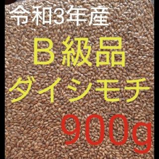 令和3年産 ダイシモチ 玄麦(米/穀物)