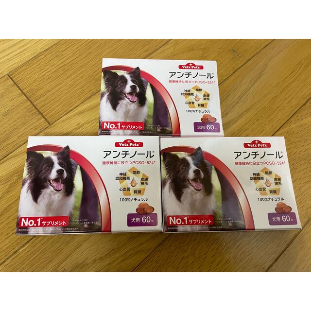 犬用アンチノール  60カプセル入り3箱新品