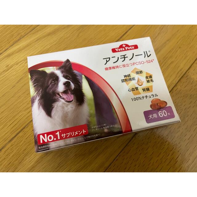 アンチノール  犬用60カプセル入り　新品