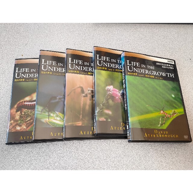 LIFE　IN　THE　UNDERGROWTH／昆虫の世界　DVD－BOX レン