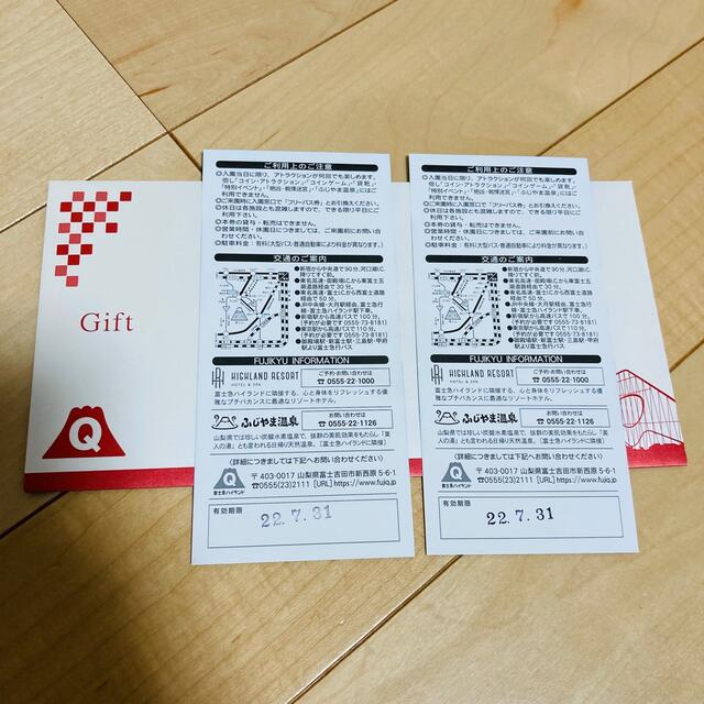 富士急ハイランド　フリーパス　ペアチケット！ チケットの施設利用券(遊園地/テーマパーク)の商品写真