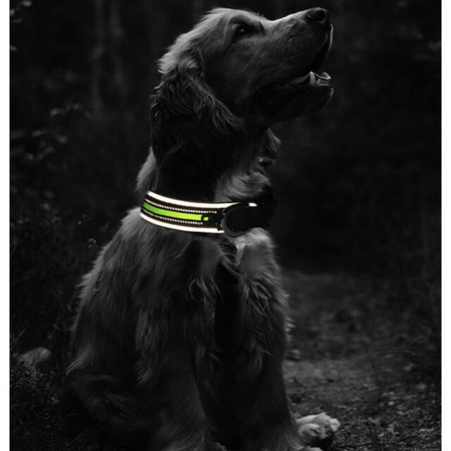 Dog 愛犬 犬 ペット 首輪 反射光線 付 超軽量 通気性良い ハンドメイドのペット(リード/首輪)の商品写真
