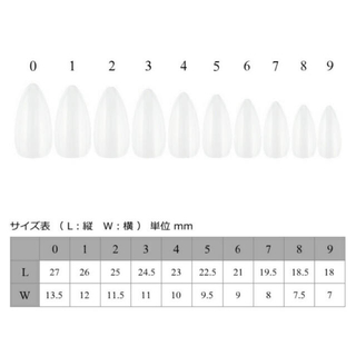 ネイルチップ☆ No.241 コスメ/美容のネイル(つけ爪/ネイルチップ)の商品写真