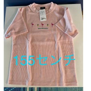 ユナイテッドアローズ(UNITED ARROWS)のユナイテッドアローズ（フラミンゴTシャツ）(Tシャツ/カットソー)