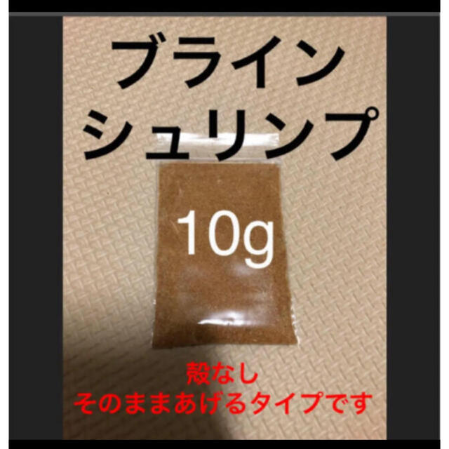 ブラインシュリンプ その他のペット用品(アクアリウム)の商品写真