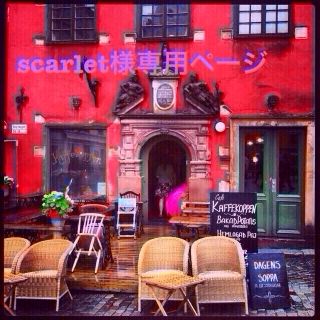 scarlet様専用(ネックレス)