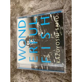 斉藤和義　WORLD ERFUL FISH(ポップス/ロック(邦楽))