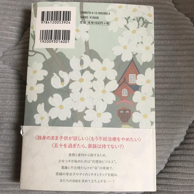 代理母、はじめました エンタメ/ホビーの本(文学/小説)の商品写真