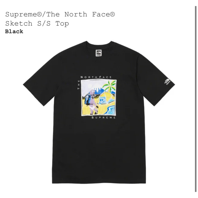 Tシャツ/カットソー(半袖/袖なし)Supreme / The North Face Sketch Tee Mサイズ