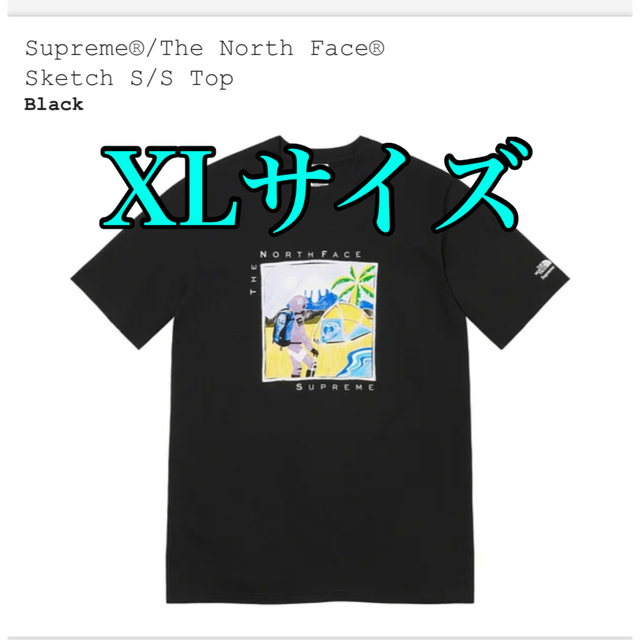 Supreme The North Face Sketch S/S Top XL