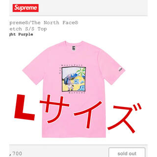 シュプリーム(Supreme)のL Supreme NorthFace Sketch Tシャツ S/S Top(Tシャツ/カットソー(半袖/袖なし))