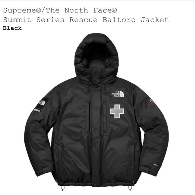 Supreme The North Face バルトロ ダウンジャケット 22