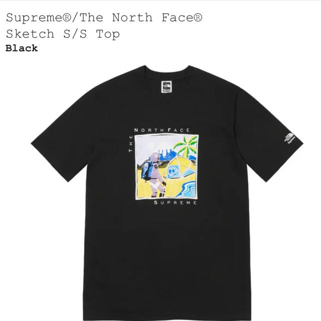 Supreme / The North Face Sketch S/S TopTシャツ/カットソー(半袖/袖なし)