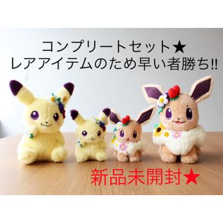 ポケモン ガーデンパーティの通販 8点 ポケモンを買うならラクマ
