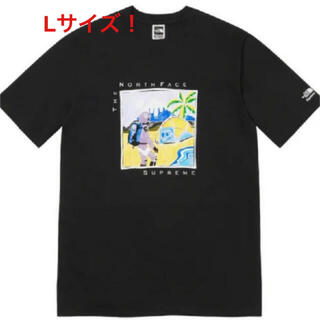 シュプリーム(Supreme)のSupreme The North Face Sketch Tシャツ　Lサイズ(Tシャツ/カットソー(半袖/袖なし))