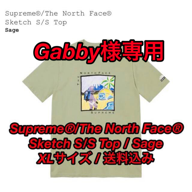 Supreme®/The North Face® Sketch S/S Top