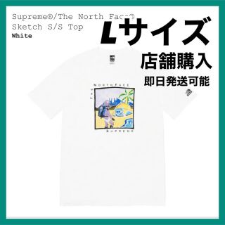 シュプリーム(Supreme)のsupreme the north face Tシャツ L 22ss(Tシャツ/カットソー(半袖/袖なし))