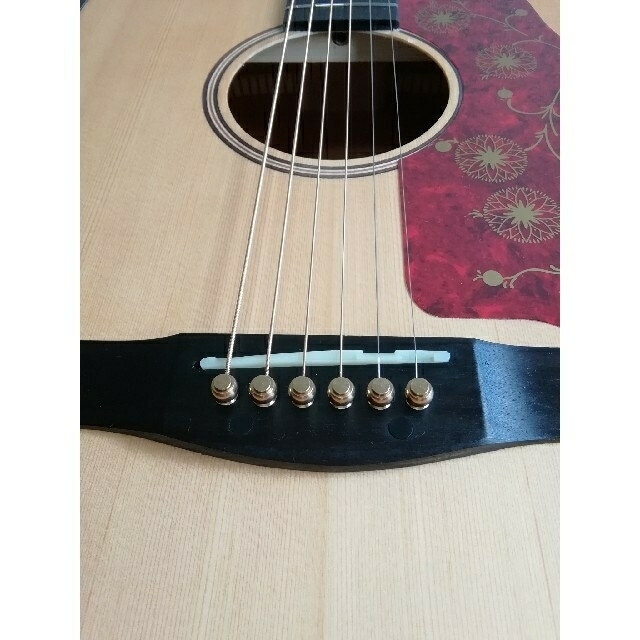 Donner「DAG -1」アコースティックギター　ドナー　純正ギグバッグ付き 楽器のギター(アコースティックギター)の商品写真