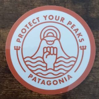 パタゴニア(patagonia)の(直径8.3cm) patagonia 公式ステッカー(その他)