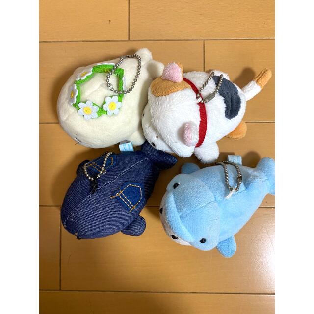 しろたん　ぬいぐるみセット エンタメ/ホビーのおもちゃ/ぬいぐるみ(キャラクターグッズ)の商品写真