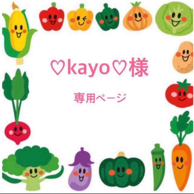 kayo様専用ページ フェルト名札 ワッペン 新品で購入 ハンドメイド