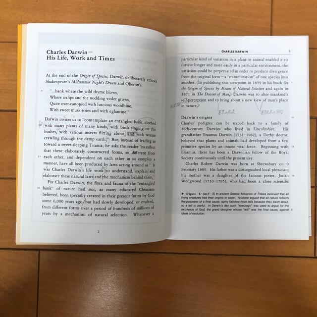 THE ORIGIN OF A THEORY ダーウィンとその時代 エンタメ/ホビーの本(語学/参考書)の商品写真