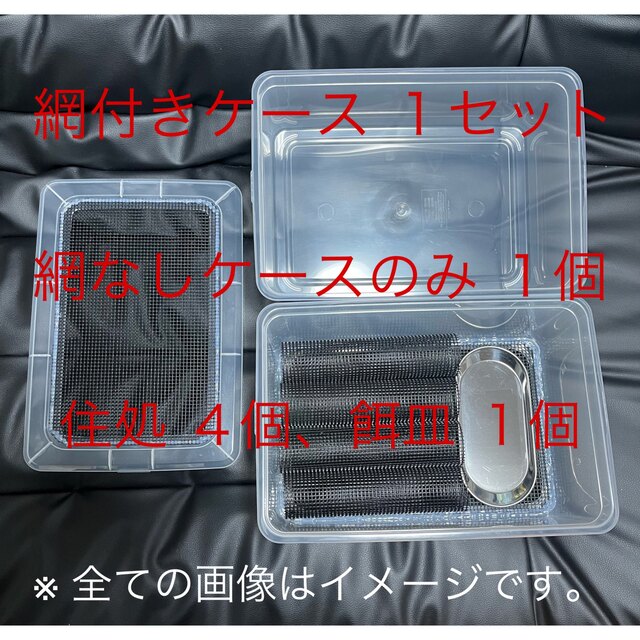 爬虫類、両生類 デュビア、コオロギ、レッドローチ 飼育ケース 飼育ケージ 【中】