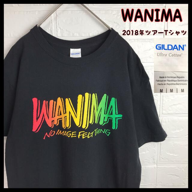 GILDAN(ギルタン)のWANIMA ワニマ 2018年ツアー Tシャツ バンドT 古着 メンズのトップス(Tシャツ/カットソー(半袖/袖なし))の商品写真