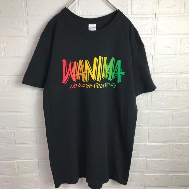 GILDAN(ギルタン)のWANIMA ワニマ 2018年ツアー Tシャツ バンドT 古着 メンズのトップス(Tシャツ/カットソー(半袖/袖なし))の商品写真