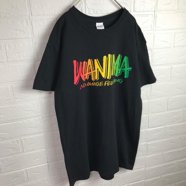 GILDAN(ギルタン)のWANIMA ワニマ 2018年ツアー Tシャツ バンドT 古着 メンズのトップス(Tシャツ/カットソー(半袖/袖なし))の商品写真